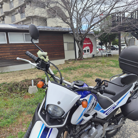 ベティスミス Betty's Store