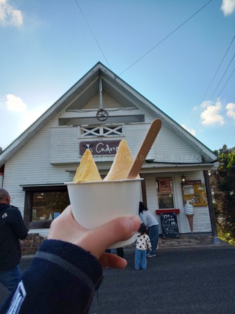 上ノ原牧場　カドーレ　ジェラート