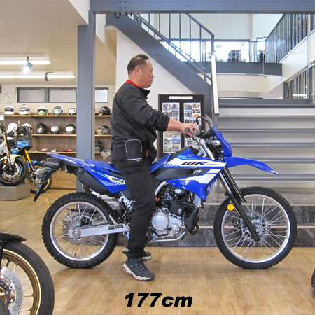 WR125R　足つき　身長177cm　男性