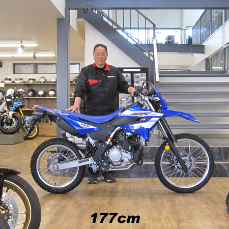 WR125R　足つき　身長177cm　男性